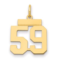 14K Small Polished Number 59 Charm view 1