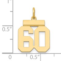 14K Small Polished Number 60 Charm view 4