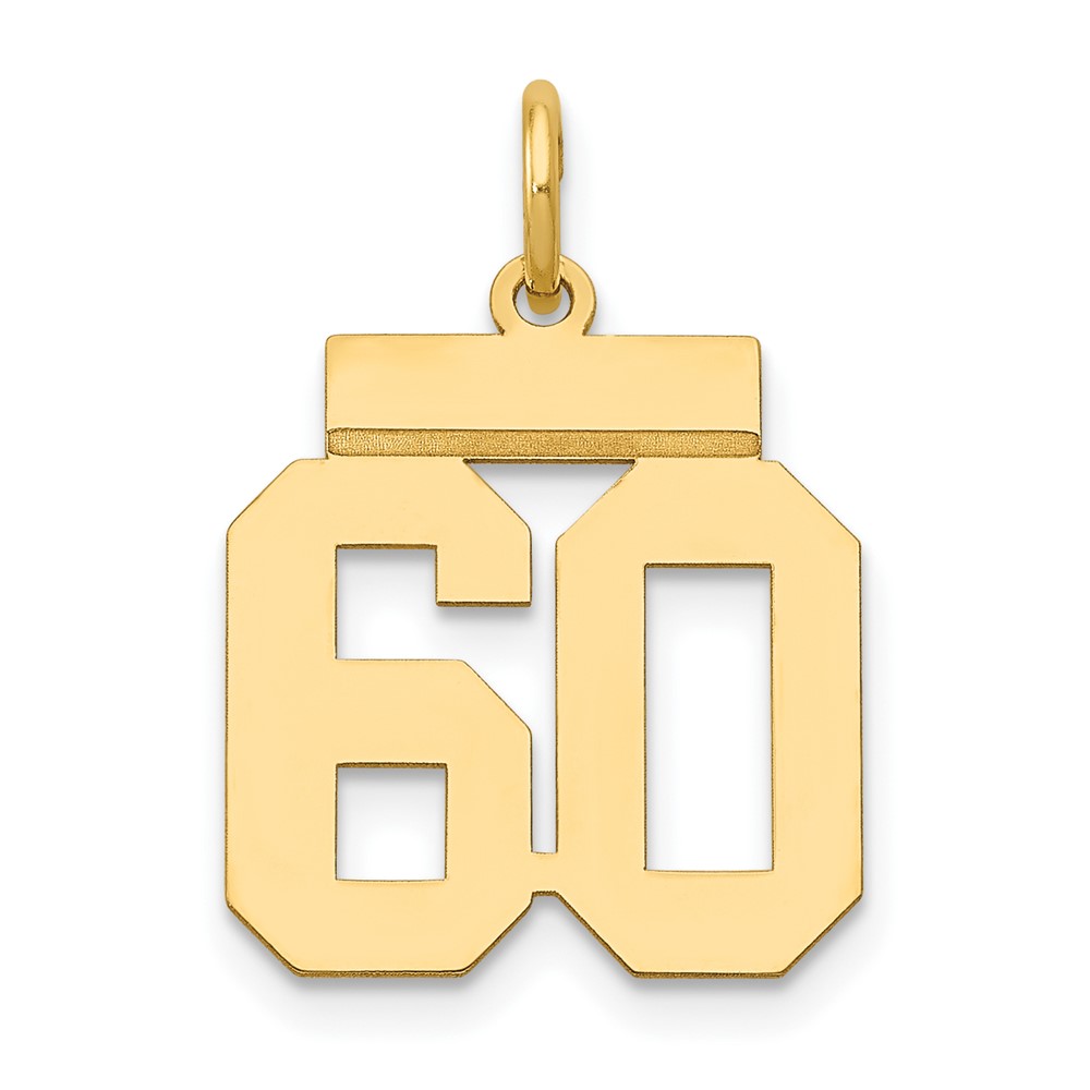 14K Small Polished Number 60 Charm