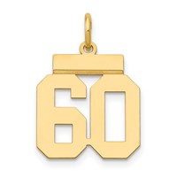 14K Small Polished Number 60 Charm view 1
