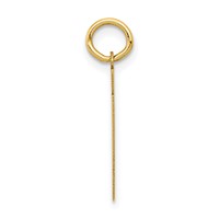 14K Yellow Gold Small Polished Number 61 Charm view 2