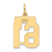 14K Yellow Gold Small Polished Number 61 Charm view 3