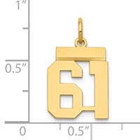 14K Yellow Gold Small Polished Number 61 Charm view 4