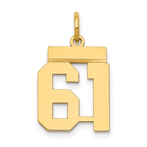 14K Yellow Gold Small Polished Number 61 Charm