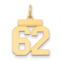 14K Yellow Gold Small Polished Number 62 Charm view 1
