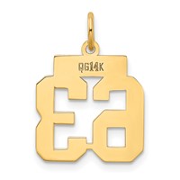 14K Yellow Gold Small Polished Number 63 Charm view 3