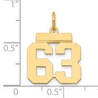 14K Yellow Gold Small Polished Number 63 Charm view 4