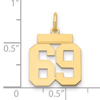 14K Yellow Gold Small Polished Number 69 Charm view 2