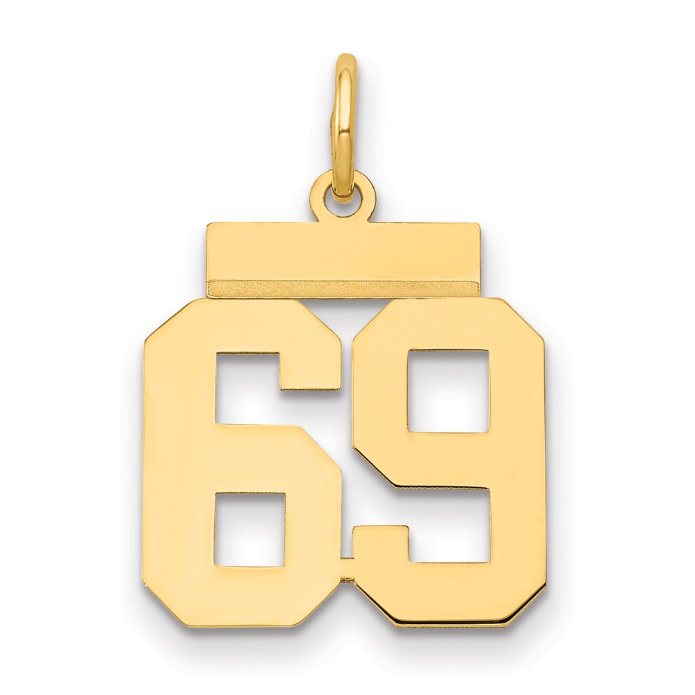 14K Yellow Gold Small Polished Number 69 Charm