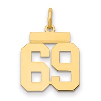 14K Yellow Gold Small Polished Number 69 Charm view 1