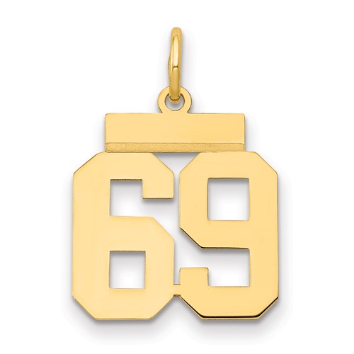 14K Yellow Gold Small Polished Number 69 Charm