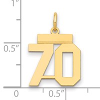 14K Yellow Gold Small Polished Number 70 Charm view 2