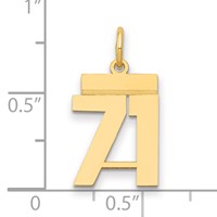 14K Yellow Gold Small Polished Number 71 Charm view 2