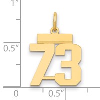 14K Yellow Gold Small Polished Number 73 Charm view 2