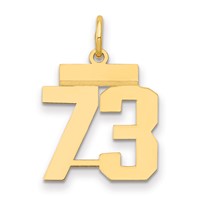 14K Yellow Gold Small Polished Number 73 Charm view 1