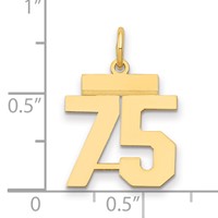 14K Yellow Gold Small Polished Number 75 Charm view 2
