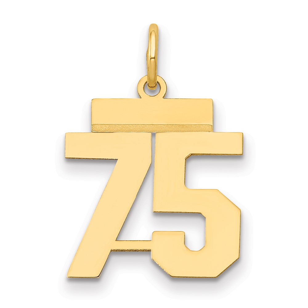 14K Yellow Gold Small Polished Number 75 Charm