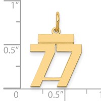 14K Yellow Gold Small Polished Number 77 Charm view 4