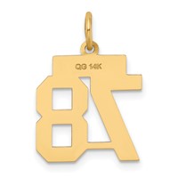 14K Yellow Gold Small Polished Number 78 Charm view 3