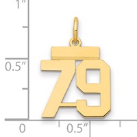 14K Yellow Gold Small Polished Number 79 Charm view 2
