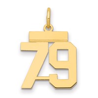 14K Yellow Gold Small Polished Number 79 Charm view 1