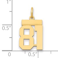 14K Yellow Gold Small Polished Number 81 Charm view 2