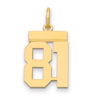 14K Yellow Gold Small Polished Number 81 Charm view 1