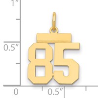 14K Yellow Gold Small Polished Number 85 Charm view 2