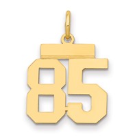 14K Yellow Gold Small Polished Number 85 Charm view 1