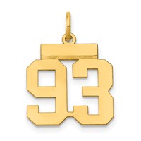 14K Yellow Gold Small Polished Number 93 Charm view 1
