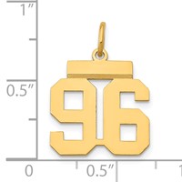 14K Yellow Gold Small Polished Number 96 Charm view 4