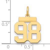14K Yellow Gold Small Polished Number 98 Charm view 2