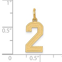 14K Yellow Gold Medium Satin Number 2 Charm view 4