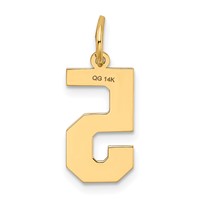 14K Yellow Gold Medium Satin Number 5 Charm view 3