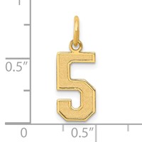 14K Yellow Gold Medium Satin Number 5 Charm view 4