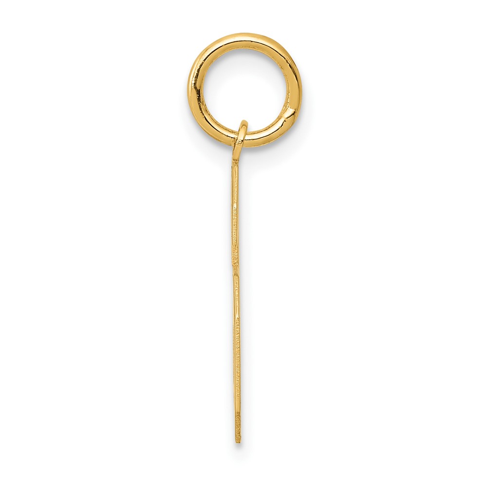 14k Medium Satin Number 6 Charm (LSM06)