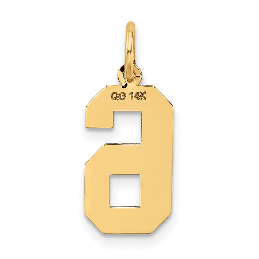 14k Medium Satin Number 6 Charm (LSM06)