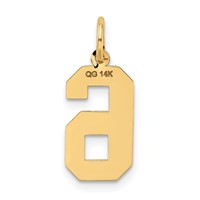 14K Yellow Gold Medium Satin Number 6 Charm view 3