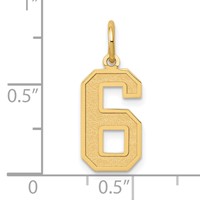 14K Yellow Gold Medium Satin Number 6 Charm view 4