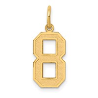 14K Yellow Gold Medium Satin Number 8 Charm view 1