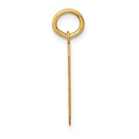 14K Yellow Gold Medium Satin Number 9 Charm view 2