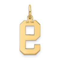 14K Yellow Gold Medium Satin Number 9 Charm view 3