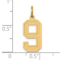 14K Yellow Gold Medium Satin Number 9 Charm view 4