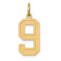 14K Yellow Gold Medium Satin Number 9 Charm view 1