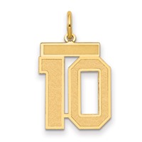 14K Yellow Gold Medium Satin Number 10 Charm view 1
