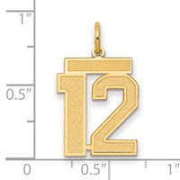 14K Medium Satin Number 12 Charm view 2