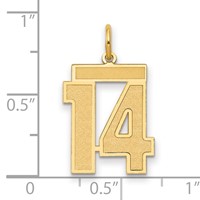 14K Yellow Gold Medium Satin Number 14 Charm view 2