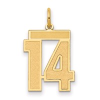 14K Yellow Gold Medium Satin Number 14 Charm view 1