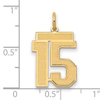 14K Yellow Gold Medium Satin Number 15 Charm view 2