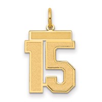 14K Yellow Gold Medium Satin Number 15 Charm view 1